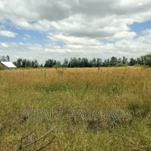 2 Acres for Sale in Tumaini Kabarak