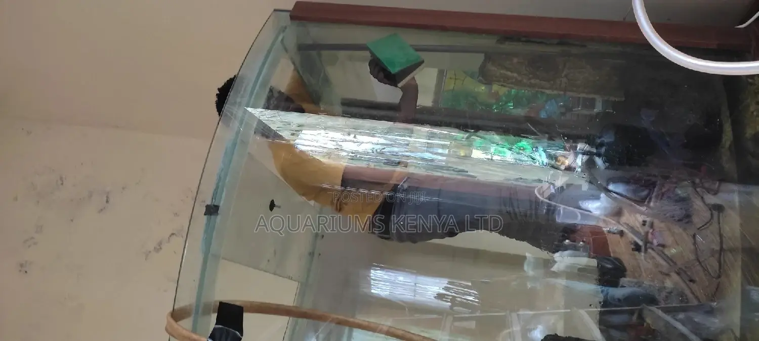 Aquarium Cleaning ,Maintenance and Fish Treatment Services