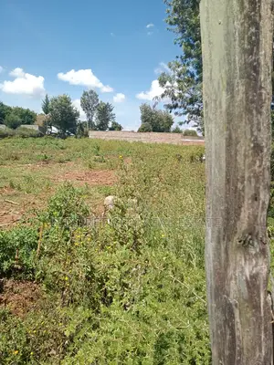 1/4 Plot Kimumu Betterfarm With Title