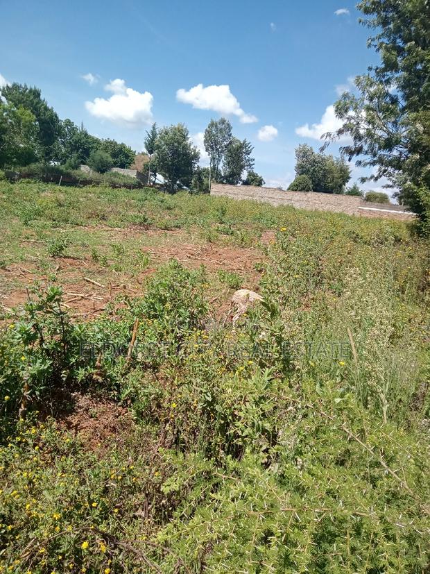 1/4 Plot Kimumu Betterfarm With Title - thumbnail 2