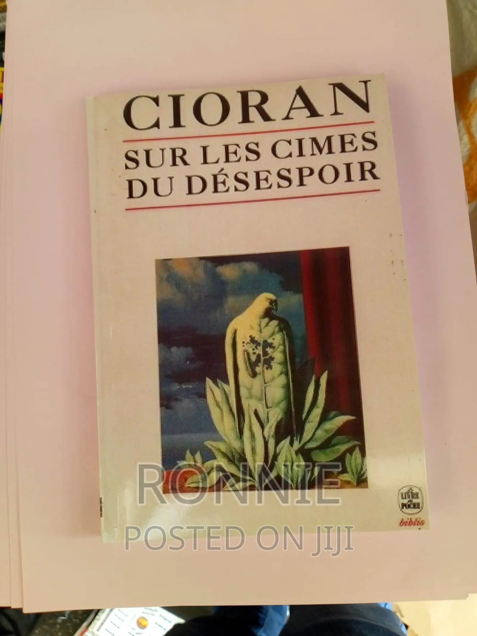 Sur Les Cimes Du Désespoir by Cioran