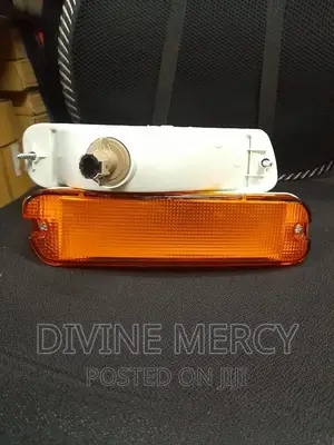FTR Bumper Lamp Light