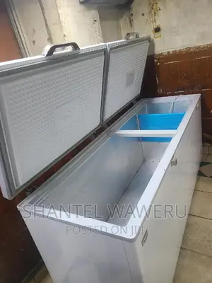 Double Door Freezer