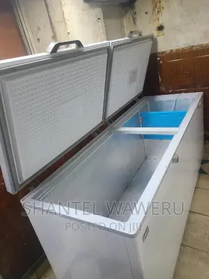 Double Door Freezer