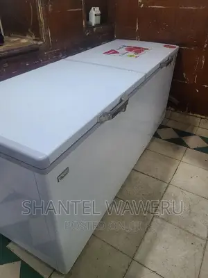 Double Door Freezer