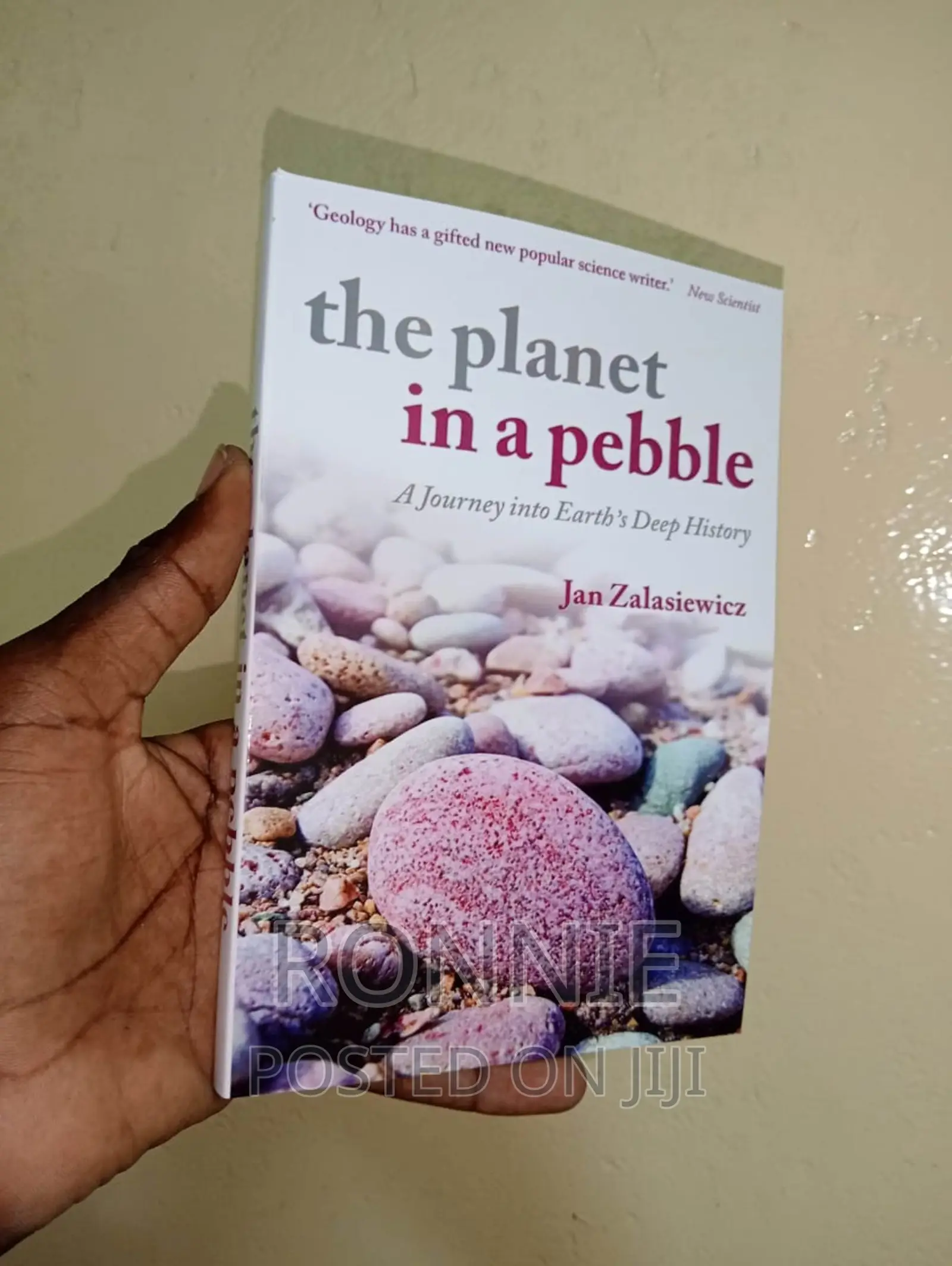 The Planet in a Pebble