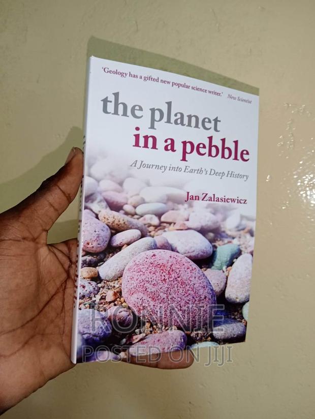 The Planet in a Pebble