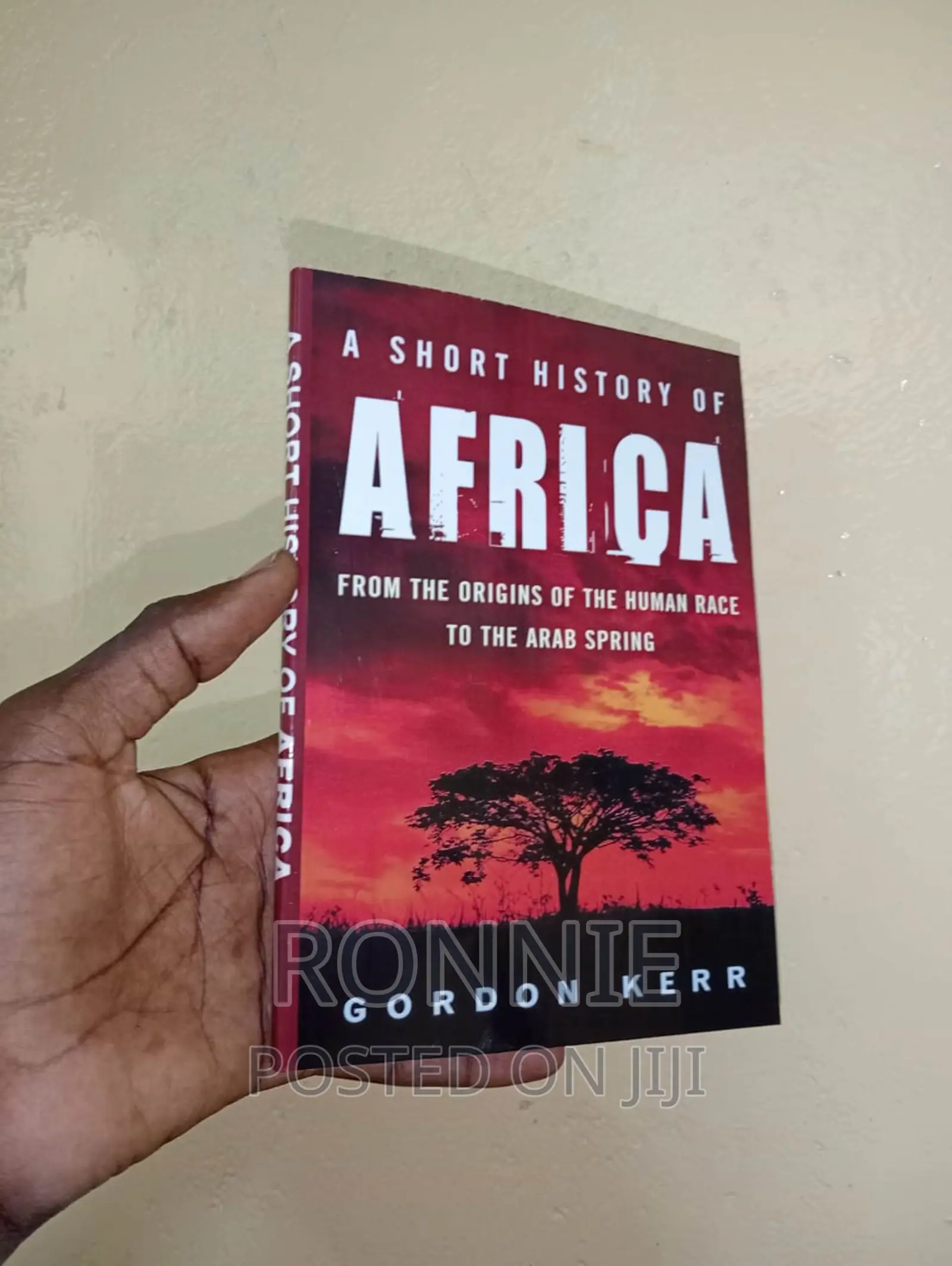 A Short History of Africa