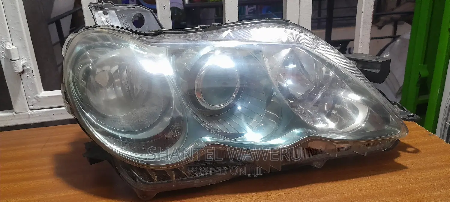 Mark X 2009 Xenon Headlight
