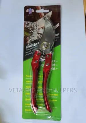 Pruning Scissors (Pruning Secatuers)