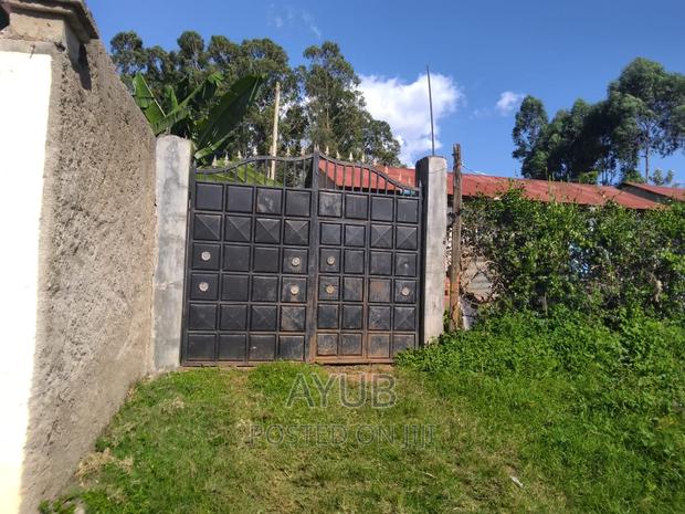 Plot for Sale in Migori - thumbnail 16