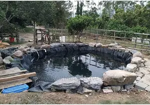 Right Material Dam Liner