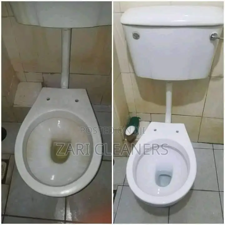 General Toilet Cleaning _Floor,Toilet Bowls and Walls