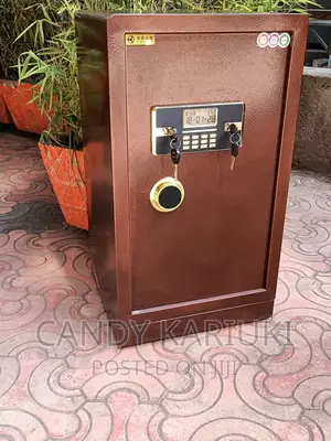 Spacious 70kg Safe Cabinet