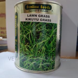 Lawn Grass Kikuyu Grass Seeds (Simlaw) - thumbnail 2