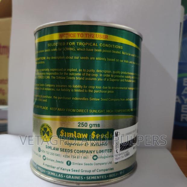 Lawn Grass Kikuyu Grass Seeds (Simlaw) - thumbnail 3