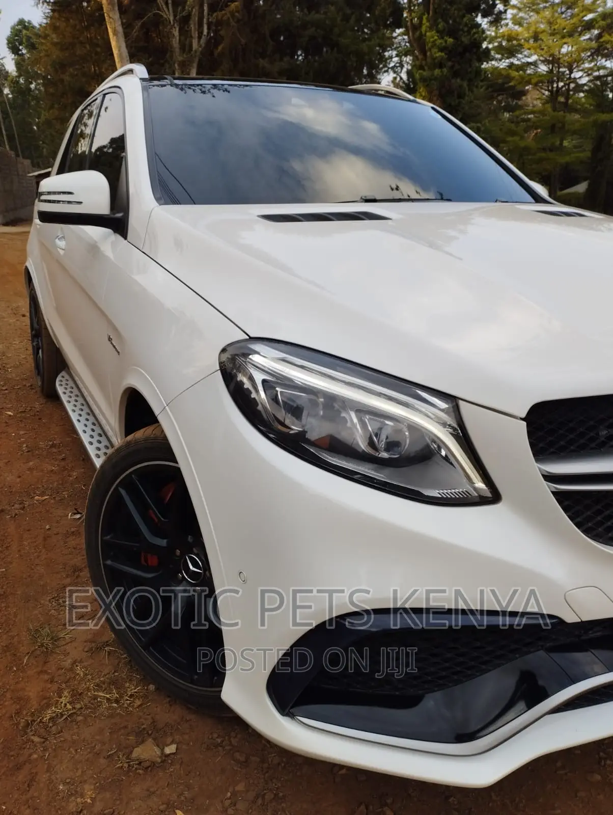 Professional Car Tinting