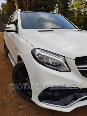 Professional Car Tinting