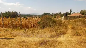 50x100 Plot Kikuyu Kamangu
