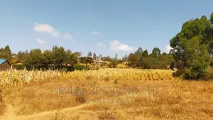 50x100 Plot Kikuyu Kamangu