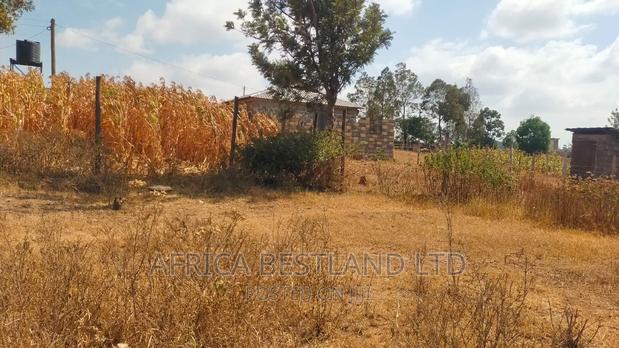 50x100 Plot Kikuyu Kamangu - thumbnail 6