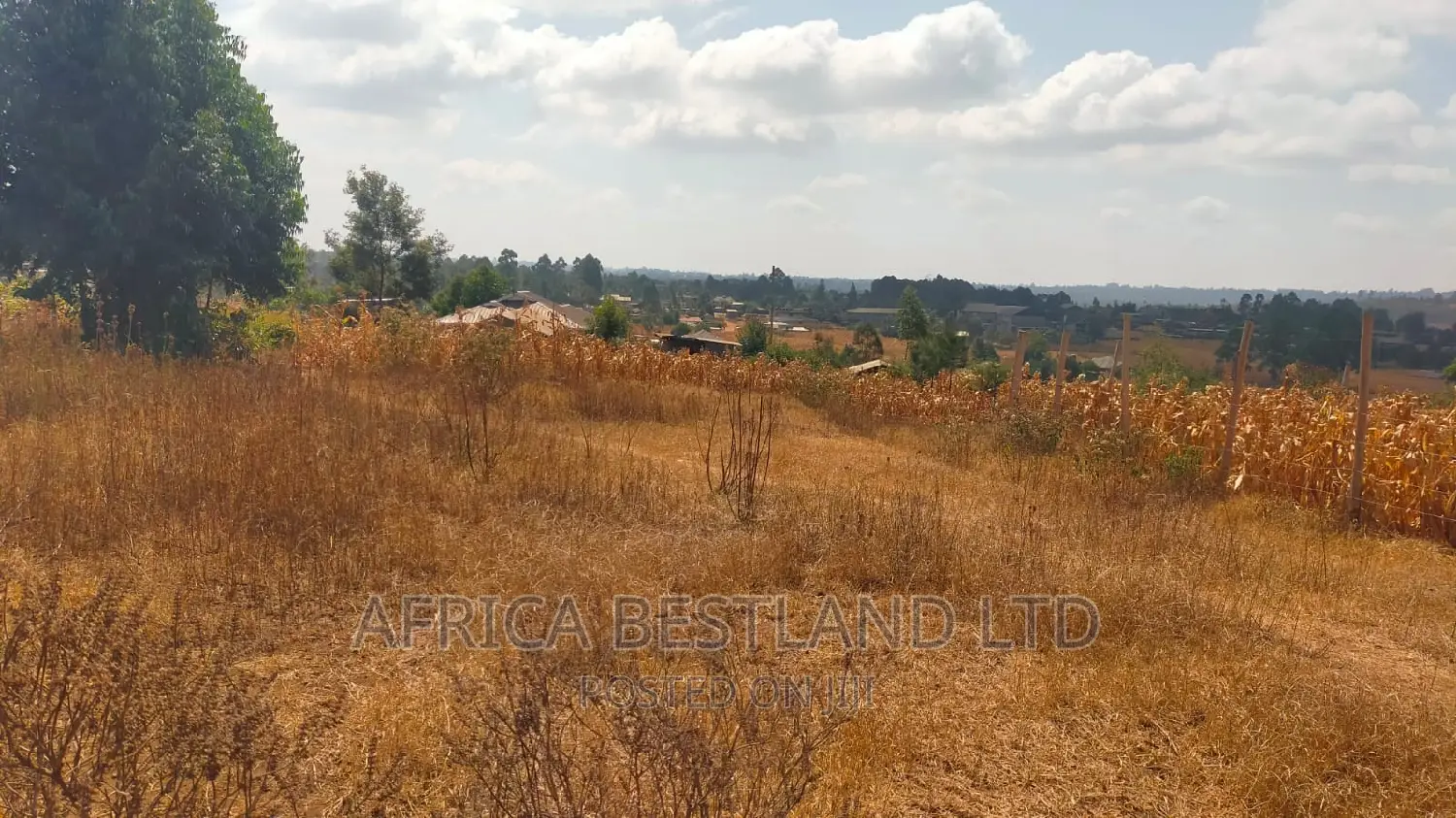 50x100 Plot Kikuyu Kamangu