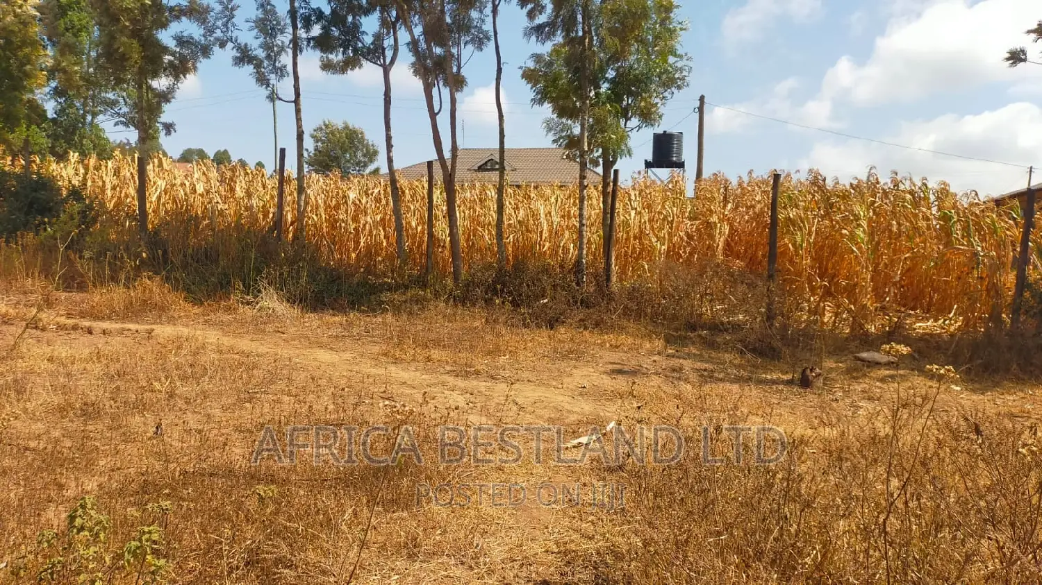 50x100 Plot Kikuyu Kamangu
