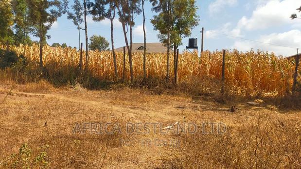 50x100 Plot Kikuyu Kamangu - thumbnail 8