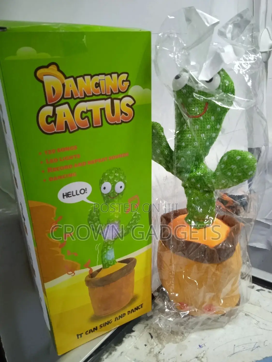Dancing Cactus