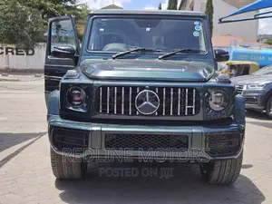 Mercedes-Benz G-Class G 350 d 2017 Green