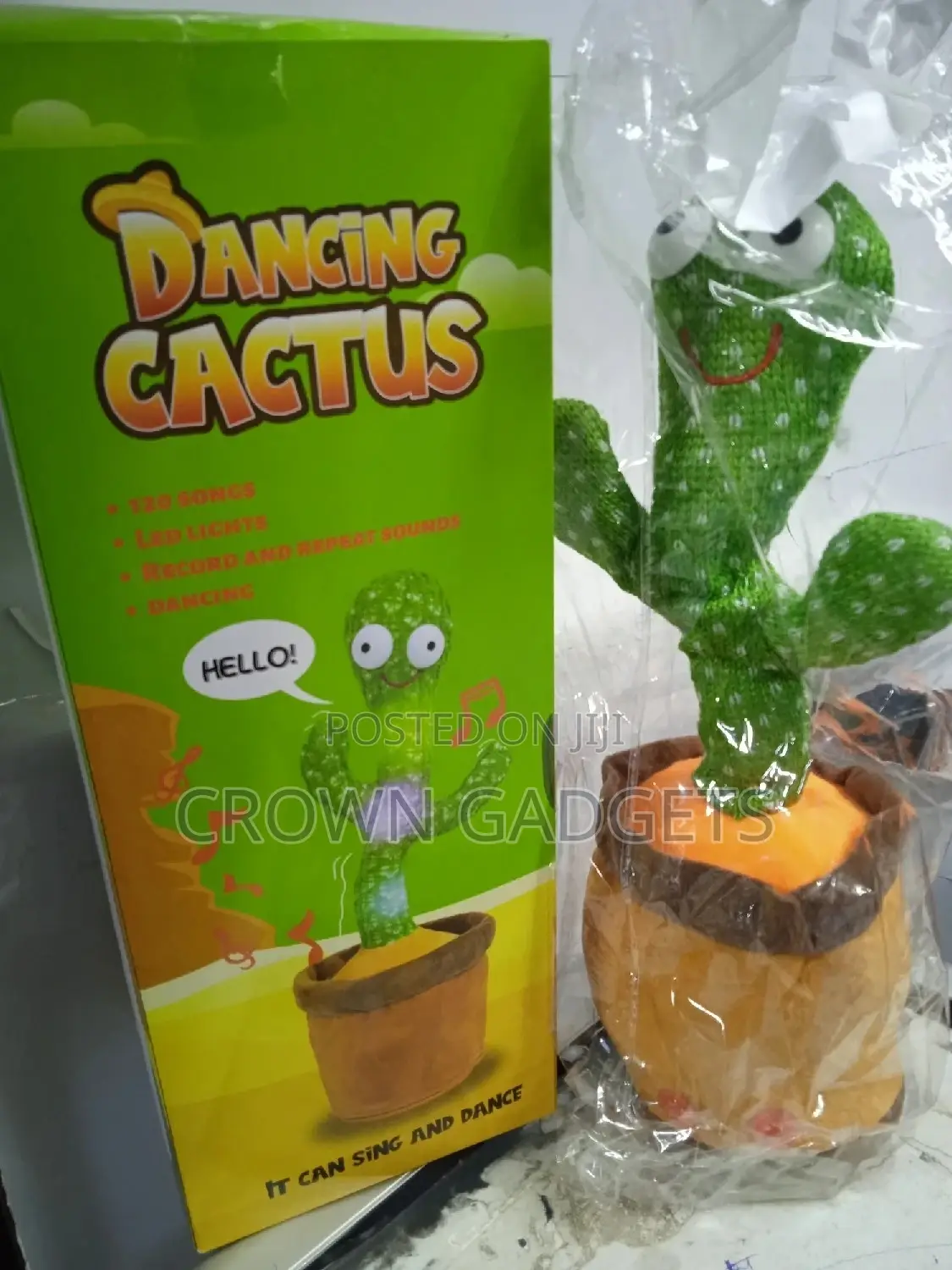 Dancing Cactus