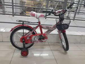 Size 16 Bike Lion King