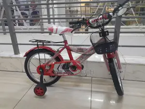 Lion King Size 16 Bicycle 8-13 Yrs