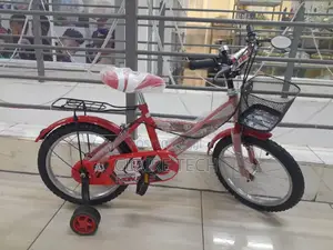 Size 16 Bike Lion King Size 16 Bike