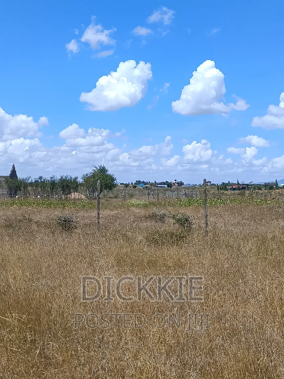 Prime Plot For Sale 50*100 Kantafu. Ready Title Direct Owner