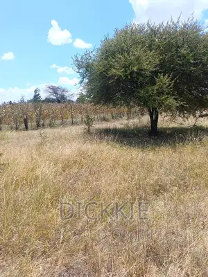Prime Plot For Sale 50*100 Kantafu. Ready Title Direct Owner