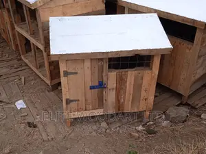 Chihuahua Kennel
