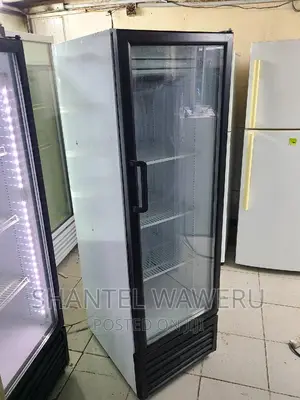 Display Fridge 300litres