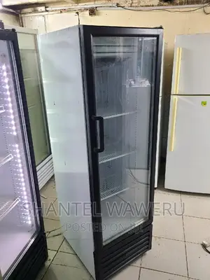 Display Fridge 300litres