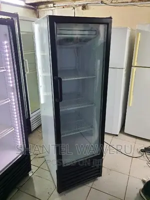 Display Fridge 300litres