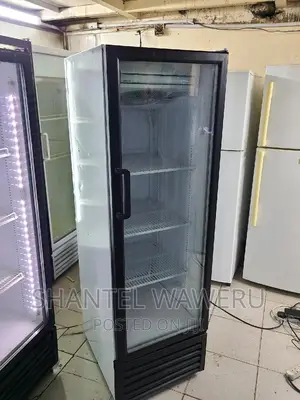 Display Fridge 300litres