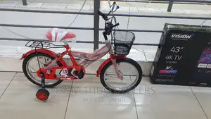 Lion King Size 16 With Balancing Wheel/ Tricycle Wheel
