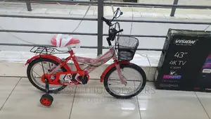 Lion King Size 16 With Balancing Wheel/ Tricycle Wheel