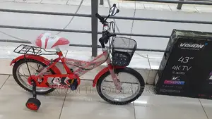 Lion King Size 16 With Balancing Wheel/ Tricycle Wheel