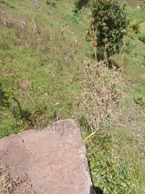 5 Acres of Land in Kiambogo, Subukia