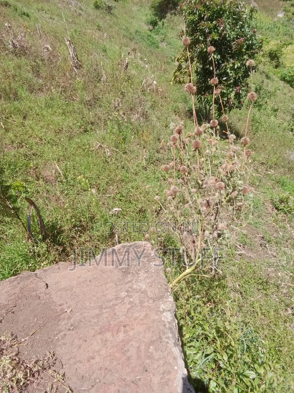 5 Acres of Land in Kiambogo, Subukia