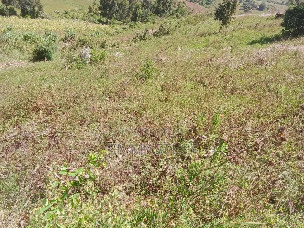 5 Acres of Land in Kiambogo, Subukia