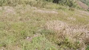 5 Acres of Land in Kiambogo, Subukia