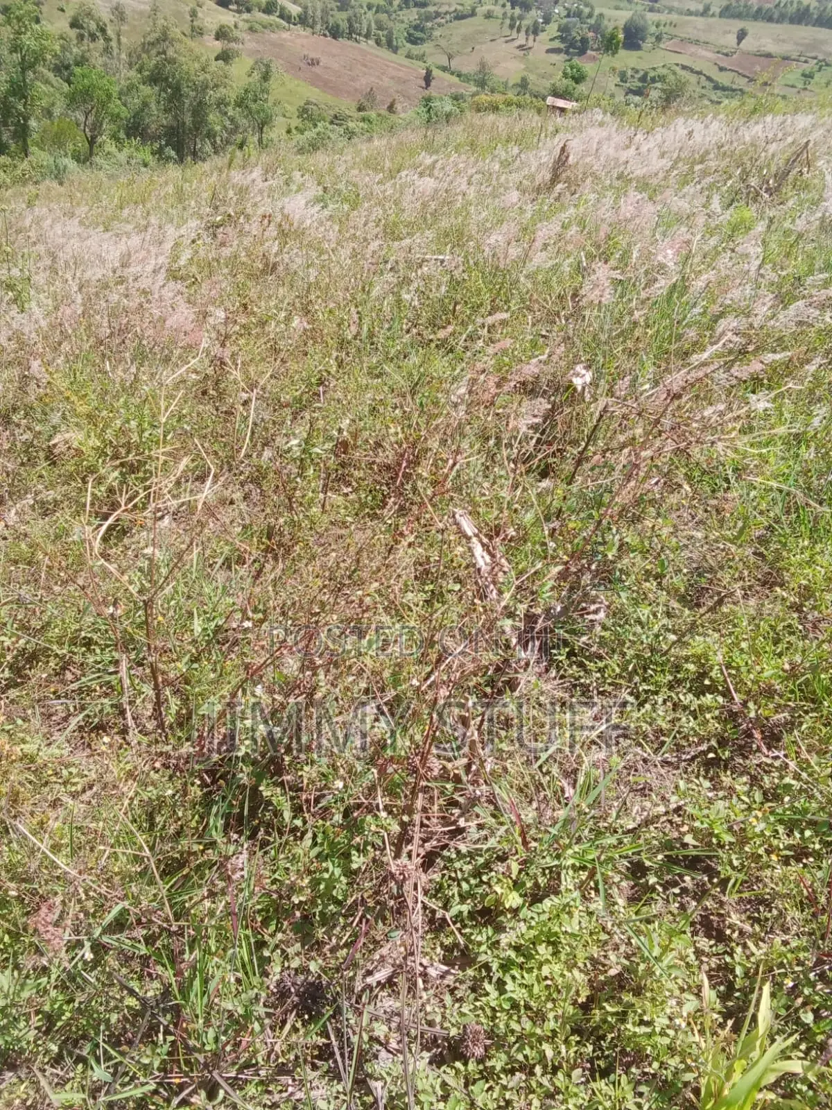 5 Acres of Land in Kiambogo, Subukia