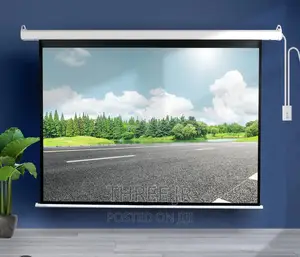 Quality Wall Mounted Whitematt Projection Screen